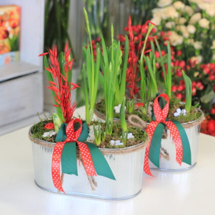 Kültéri összeültetés