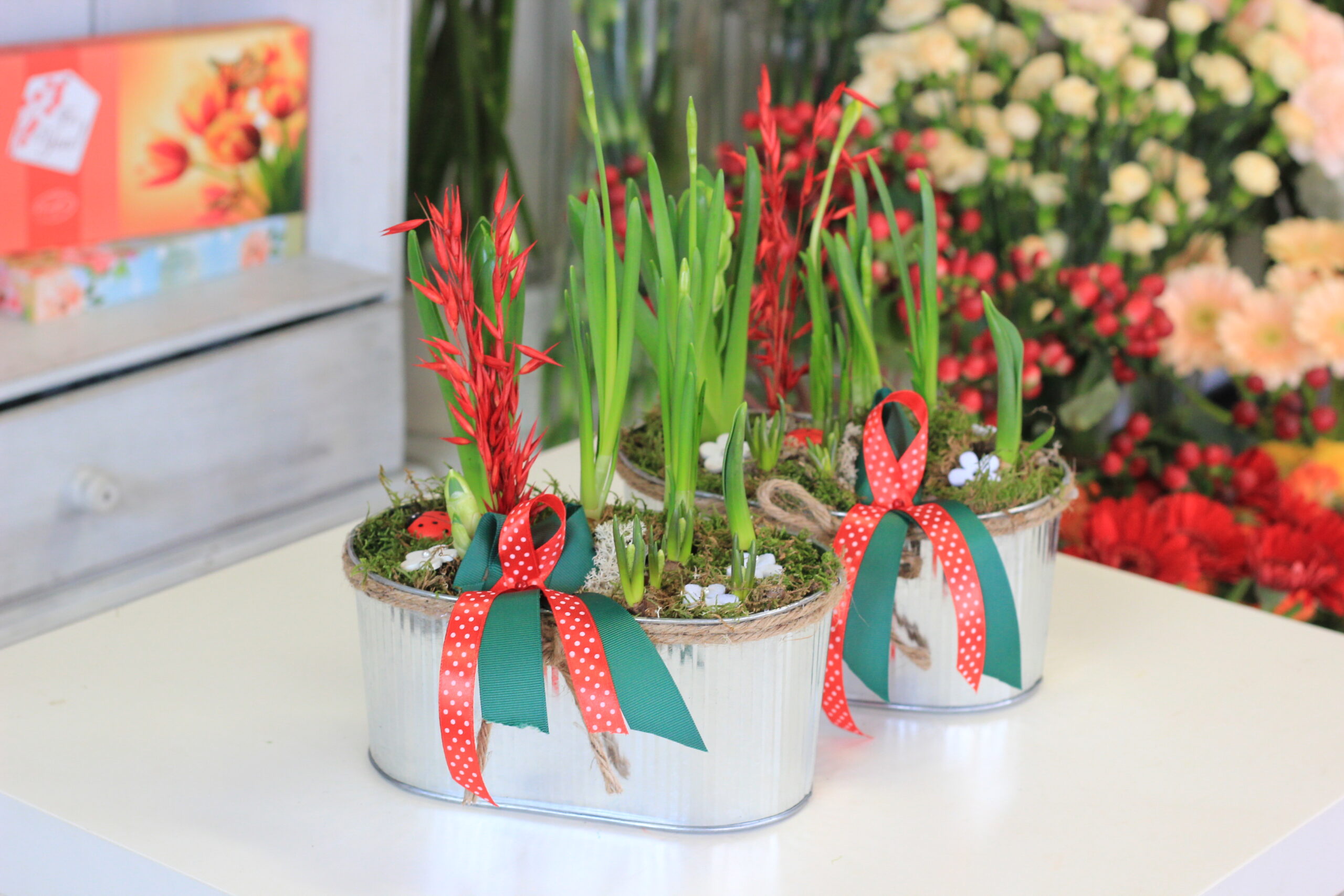 Kültéri összeültetés